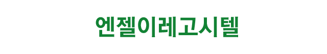 엔젤이레고시텔